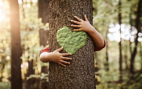 9 Ways You Can Show Your Love Of Trees This Arbor Day Parade
