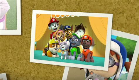 Rubblegallerypups Save The Cat Show Paw Patrol Wiki Fandom