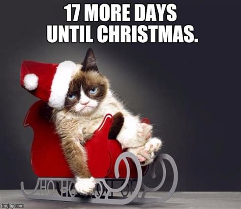 Image Result For 17 Days Till Christmas Grumpy Cat