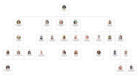 Organizational Chart Org Chart Chart Images Porn Sex Picture