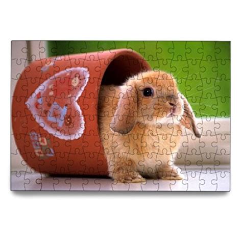 18 Most Wanted Rabbit Puzzles