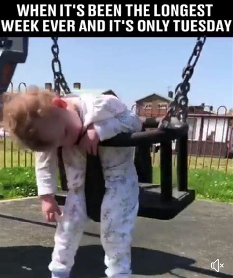 When Its Been The Longest Week Ever And Its Only Tuesday Funny