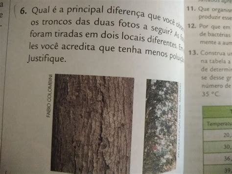 Que Diferença Você Identifica Entre As Duas Fotografias