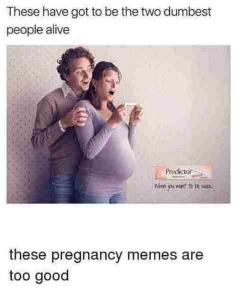 71 Funniest Pregnancy Memes On The Web Inspirationfeed