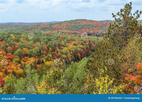 Algonquin National Park During Autumn Stock Photo Image Of Fall