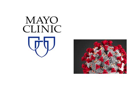 Mayo Clinic Launches Test To Detect Covid 19 Immunity Massdevice