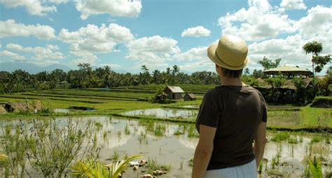 Wandelen In De Rijstvelden Van Munduk And Mayong Villa Bossi Bali