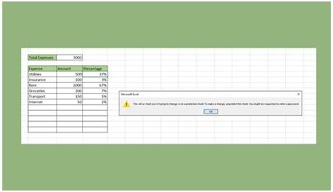 protecting excel worksheets