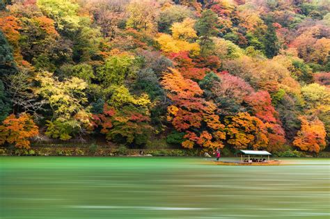 Autumn Leaves In Kyoto Japan Kyoto Japan Japanese