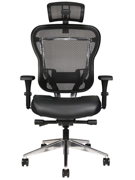 Buy Oak Hollow Furniture Aloria Series Office Chair Ergonomic Executive