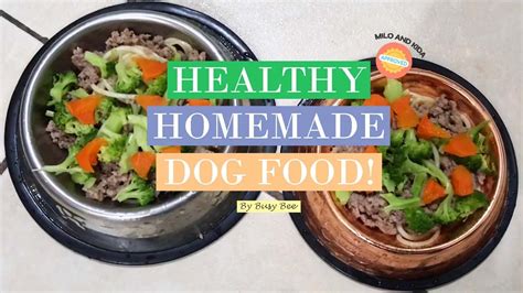 Maybe you would like to learn more about one of these? SIMPLE HEALTHY HOMEMADE DOG FOOD RECIPE | FIRST DOG ...