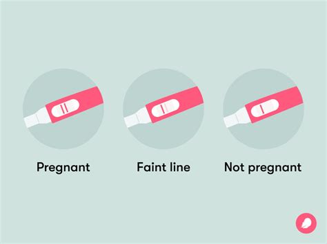 Faint Line On A Pregnancy Test — What Does It Mean