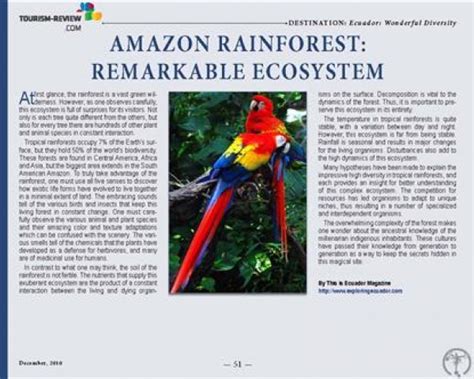 Amazon Rainforest Discover The Wildlife Tr