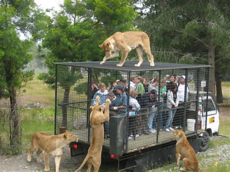 What Zoos Need To Do For Zood Animals Center For Humans And Nature