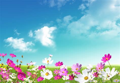 Do not request a wallpaper (eg: 41+ Spring Scenery Desktop Wallpaper on WallpaperSafari