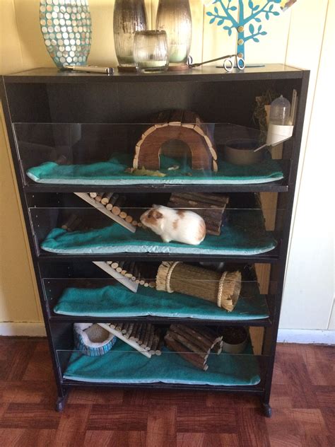 This Is The Guinea Pig Habitat I Made From A Bookshelf Cut A Corner