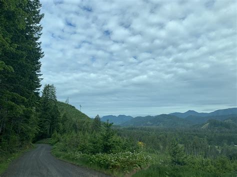 Forest Service Roads Always Have The Best Views Rpacificnorthwest