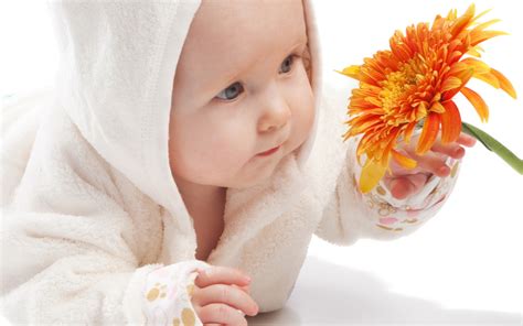 Child Hd Wallpaper Background Image 2560x1600 Id688332 Images