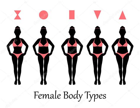 Female Body Types — Stock Vector © Olgasuslo 64007657