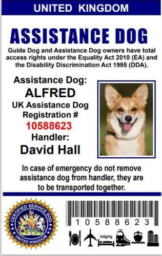 Do We Need A Dog Licence In The Uk