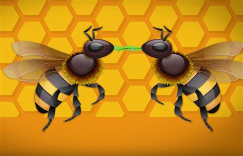 How Do Bees Make Honey Keeping Backyard Bees