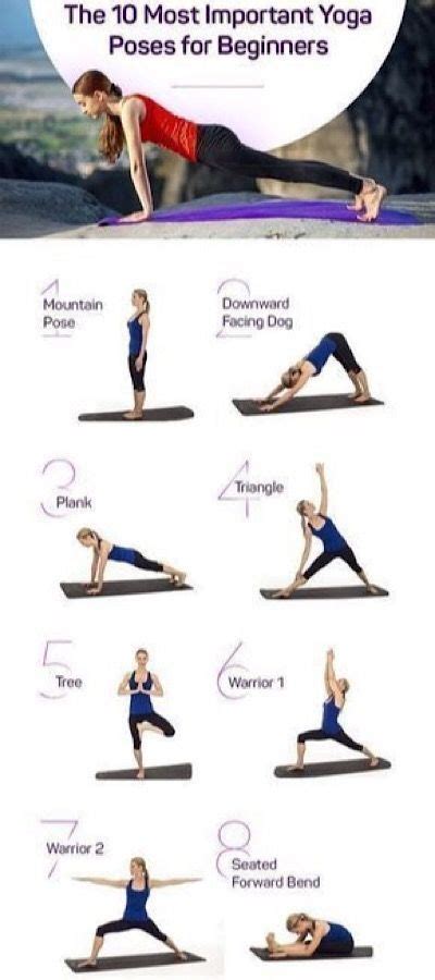 10 Most Important Yoga Poses For Beginners
