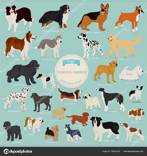 Collection Different Breeds Dogs Names Stock Illustration By ©daudau992