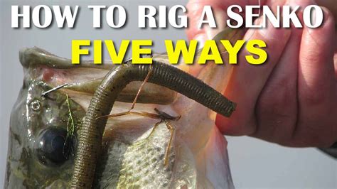 How To Rig A Senko 5 Ways Bass Fishing Bass Fishing Fishing Tips