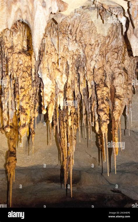 Stalactite And Stalagmite Limestone Formations In Alexandra Cave At The