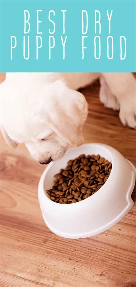 Be sure to check your puppy's specific food bag for the label, so you know how much to feed him. Best Dry Puppy Food - The Top Choices For Large And Small ...