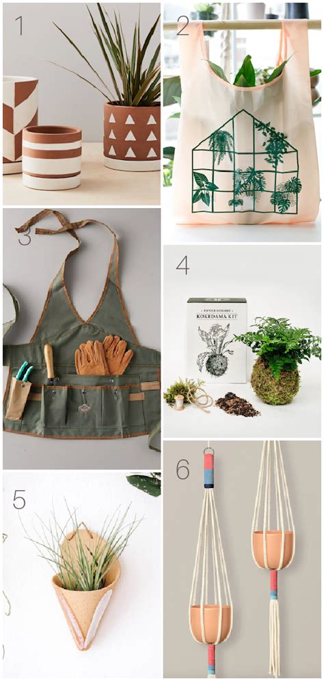 Over 50 T Ideas For Plant Lovers Clever Bloom