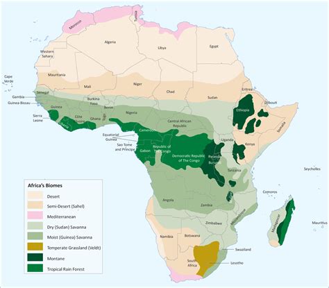 Africa Biomes Africa Map Biomes Africa
