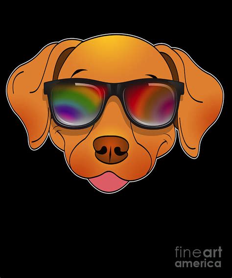 Cool Dog With Sunglasses Summer Cartoon Digital Art By Lukas Davis