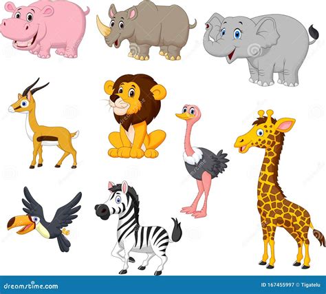 Fotomural Ilustracion Vectorial De Los Animales Salvajes Caricaturas Images