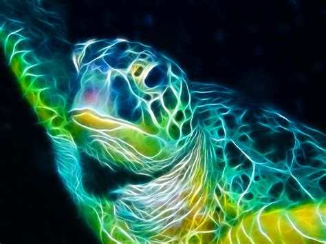 Download Sea Turtle Animated Wallpaper