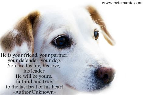 Dog Is Your Forever Friend Pets Manic Blog