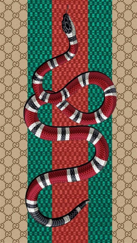 Gucci Snake Logo Wallpapers On Wallpaperdog