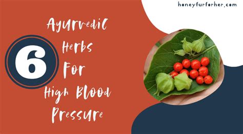 Top 6 Ayurvedic Herbs For High Blood Pressure Hypertension