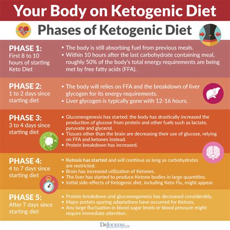 What is the ketogenic diet and how does it work for bodybuilders? Keto Diet Sample - Diet Plan