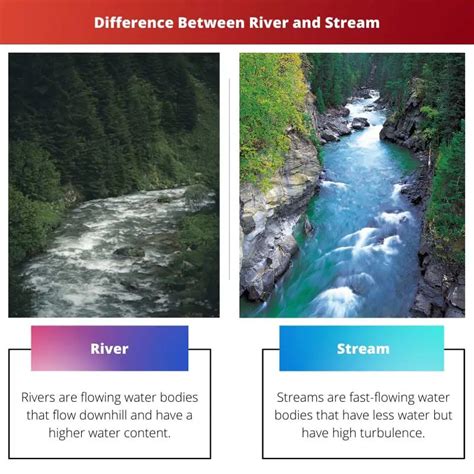 River Vs Stream Difference And Comparison