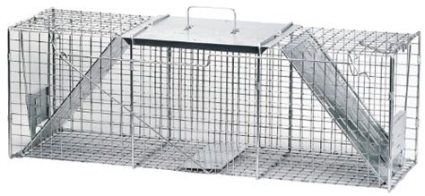 Well come to learner edge. Top 10 Animal Traps Raccoon of 2020 | No Place Called Home