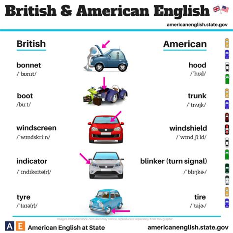 British Vs American English 100 Differences Illustrated Bored Panda