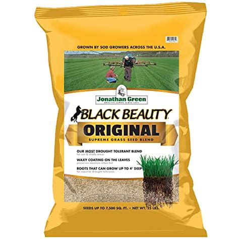 Jonathan Green 10315 Black Beauty Original Grass Seed Blend Cool