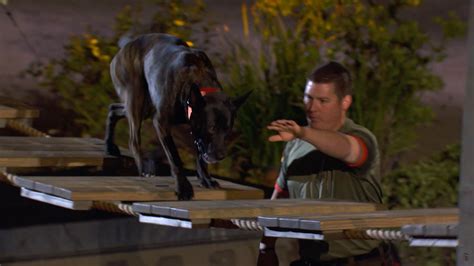 Watch Americas Top Dog Season 1 Episode 6 Country Boys And Rescue