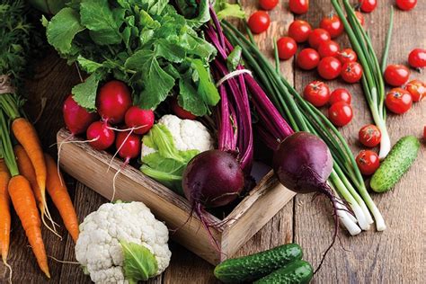 An extensive range of organic, holistic cat food that promote healthy activity and weight levels. Organic foods get 'coronavirus boost' www ...