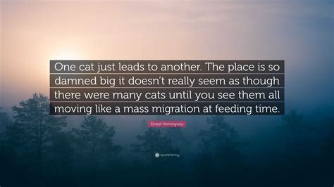 Ernest Hemingway Quote “one Cat Just Leads To Another The Place Is So Damned Big It Doesn’t