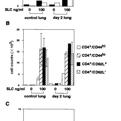 Chemotaxis Assay For Slc On Lung Cells Lung Cells Obtained From Mice