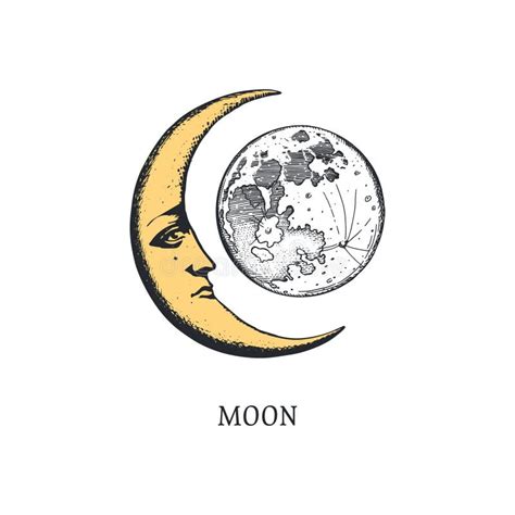 Crescent Vector Illustration Moon Stock Vector Illustration Of Logo