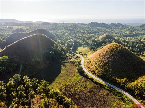 Aerial View Of Road Through The Chocolate Hills Bohol Royalty Free
