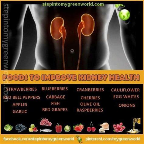 Foods To Improve Kidney Health To Do Again